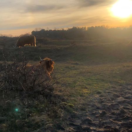 De Bosrand Grenzend Aan Het Bos Villa Castricum Dış mekan fotoğraf