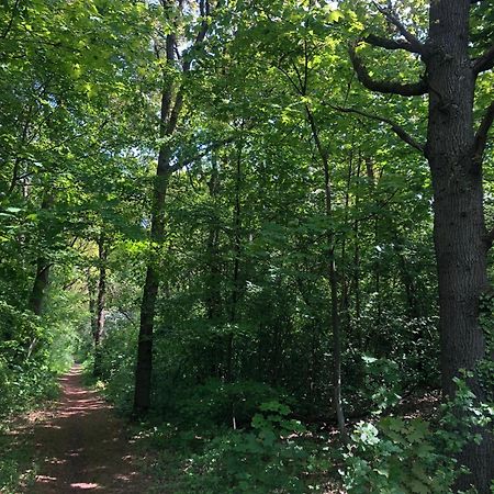 De Bosrand Grenzend Aan Het Bos Villa Castricum Dış mekan fotoğraf