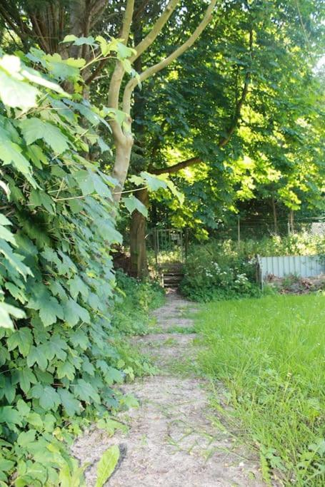 De Bosrand Grenzend Aan Het Bos Villa Castricum Dış mekan fotoğraf