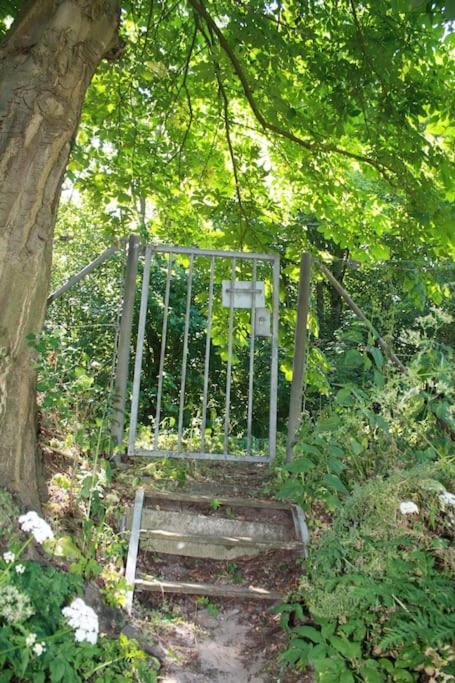 De Bosrand Grenzend Aan Het Bos Villa Castricum Dış mekan fotoğraf