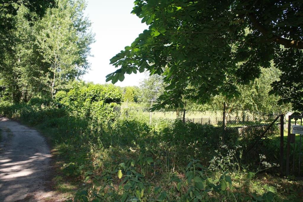 De Bosrand Grenzend Aan Het Bos Villa Castricum Dış mekan fotoğraf